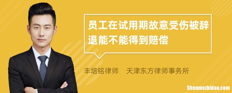 试用期八天被辞退有补偿吗 干了十天被公司辞退怎么补偿