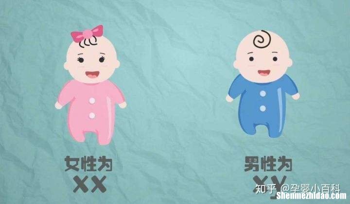 怎么样才能生男孩 怎么样才能生男孩的几率高