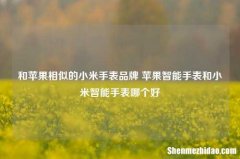 和苹果相似的小米手表品牌 苹果智能手表和小米智能手表哪个好