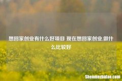 想回家创业有什么好项目 现在想回家创业,做什么比较好
