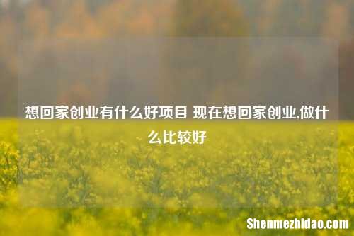 想回家创业有什么好项目 现在想回家创业,做什么比较好