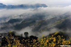 黄山生活网 黄山微生活网站