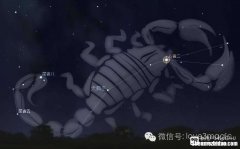 7月天蝎 7月天蝎座运势