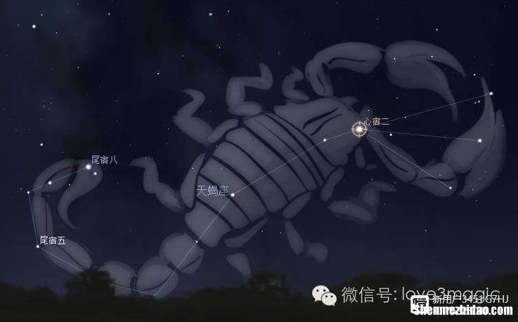 7月天蝎 7月天蝎座运势