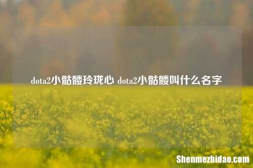 dota2小骷髅玲珑心 dota2小骷髅叫什么名字