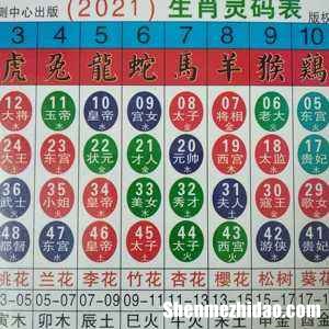 十二生肖怎么看配对表 十二生肖怎么看配对表图