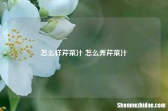 怎么样芹菜汁 怎么弄芹菜汁