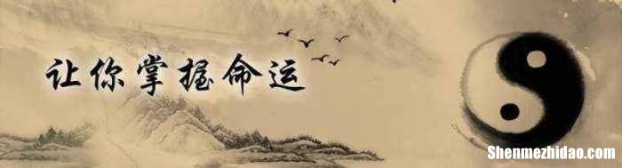 十二月十四日运势 二十四号的运势怎么样