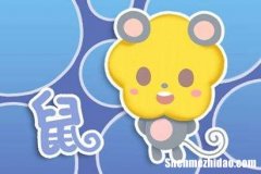 属鼠的2020年全年运势 属鼠2020年全年运势详解