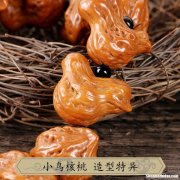 小鸟核桃 小鸟核桃图片