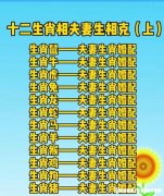 生肖配对表工作方向怎么写 生肖配对表工作方向怎么写好