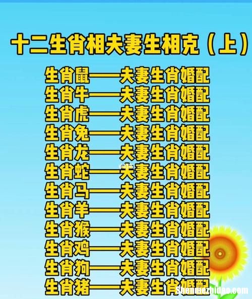 生肖配对表工作方向怎么写 生肖配对表工作方向怎么写好