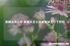 鱼罐头怎么样 鱼罐头怎么样重复加工一下好吃