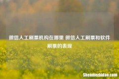 微信人工刷票机构在哪里 微信人工刷票和软件刷票的表现
