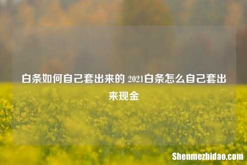 羊小咩如何自己用起来的 2021羊小咩怎么自己用起来现金