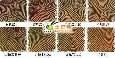 十斗算命 十指指纹算命