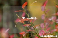 水一dota视频