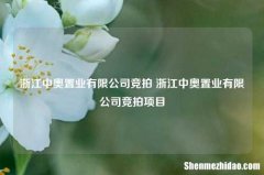 浙江中奥置业有限公司竞拍 浙江中奥置业有限公司竞拍项目