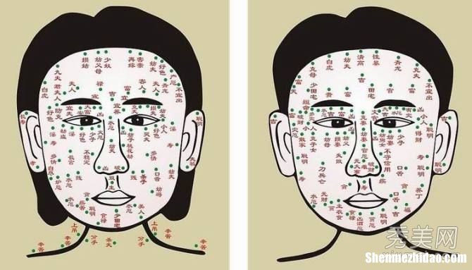 算命从脸上 算命脸图解析