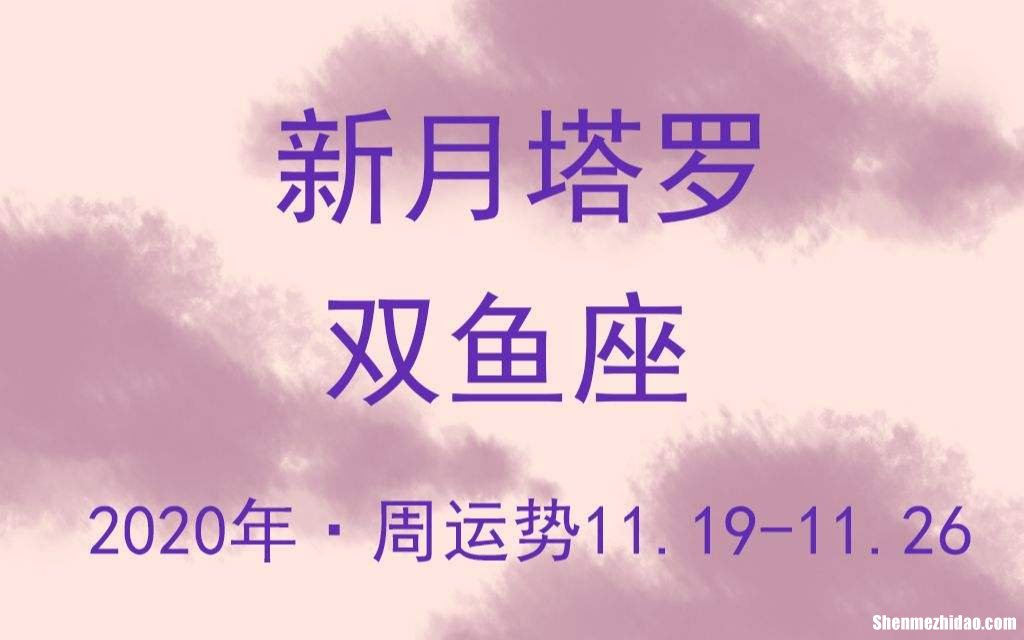 双鱼座专一吗 双鱼座女孩专一吗