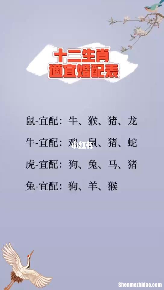 十二生肖女的配对表 十二生肖女配对哪些生肖男