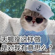 天蝎座说话很伤人 天蝎座说话很伤人嘛