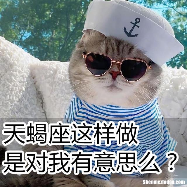 天蝎座说话很伤人 天蝎座说话很伤人嘛