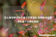怎么查驾驶证扣在哪个交警支队 如何查询驾驶证在哪个交警队被扣