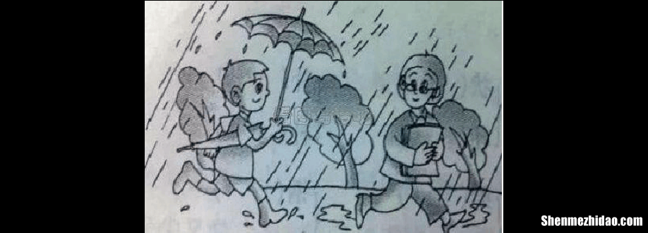 一起打雨伞看图写话 下雨一起打伞看图写话