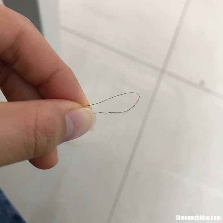 头发分叉怎么办 头发分叉怎么办教你修复方法