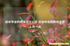 初中毕业的男孩学什么好 初中毕业的男孩学什么好一点