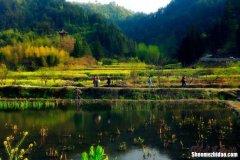 黄山黔县 黄山黔县望月楼酒店