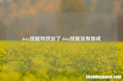 dota技能特效没了 dota技能没有加成