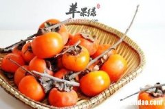 柿子能不能和苹果一起吃 柿子能不能和苹果一起吃呀