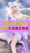 王者荣耀女英雄大长腿