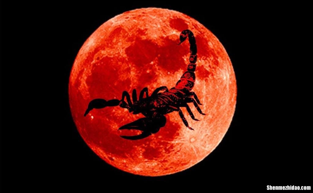 天蝎星空图片 天蝎星空图片头像