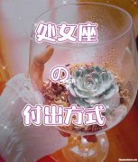 处女座女生越不理越爱你吗 处女座女生不理你怎么回事?