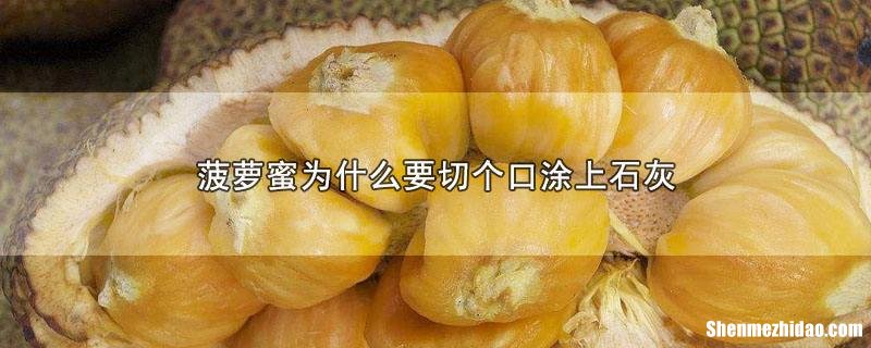 菠萝蜜为什么是臭的 菠萝蜜为什么是臭的味道