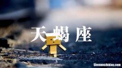 天蝎座聪明 双子座聪明还是天蝎座聪明