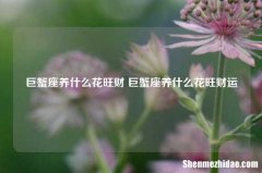 巨蟹座养什么花旺财 巨蟹座养什么花旺财运