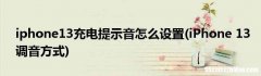 苹果手机提示音设置 苹果手机提示音设置好以后没有较后一步
