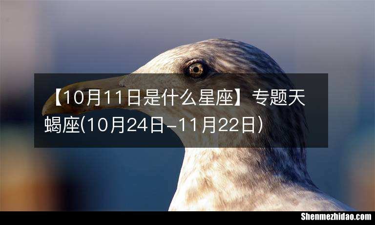 11月22日出生是什么星座 11月22日出生是什么星座的