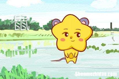 鼠属2015运势 属鼠2015年运势