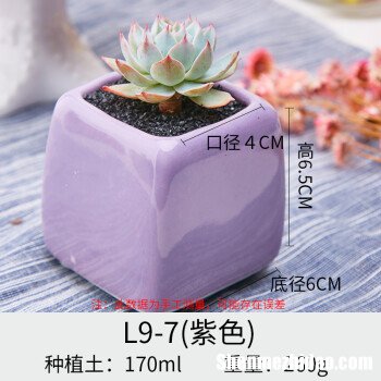 理想l9订单紫色 理想汽车l9订单量排到多少号了