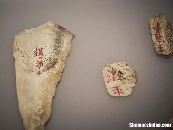 甲骨占卜书籍 甲骨占卜书籍在线阅读