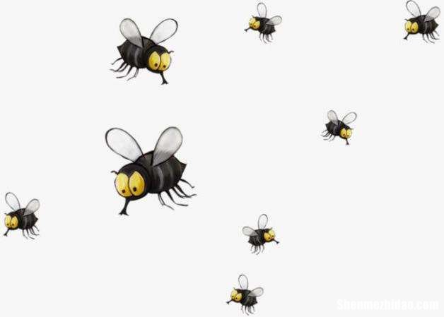 梦到打死苍蝇 梦到打死苍蝇还出了蛆
