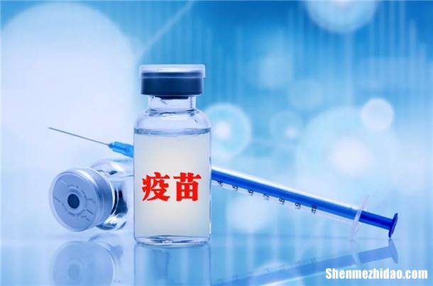 当新冠疫苗进入体内之后 当新冠疫苗进入体内之后会发生什么呢?