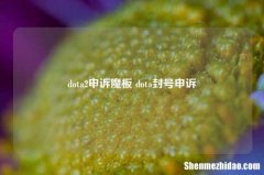 dota2申诉魔板 dota封号申诉