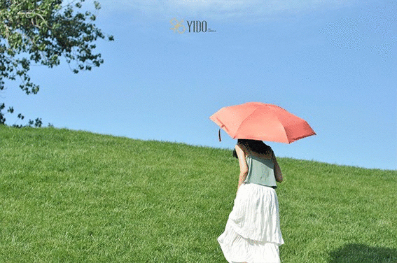 黄雨伞的寓意 黄雨伞的寓意及象征