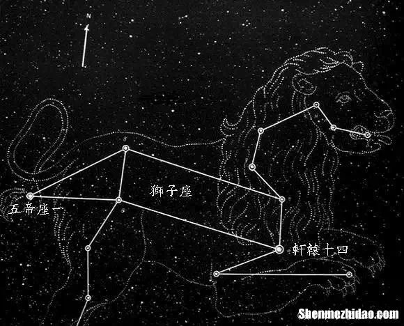 狮子座的克星 狮子座的克星水瓶座